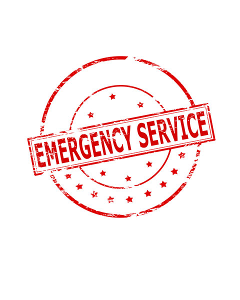 Smart Solution Services